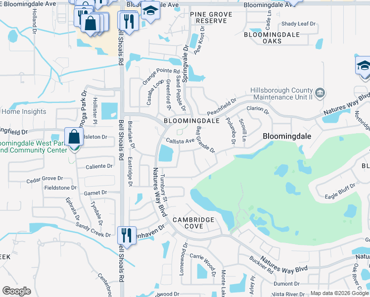 map of restaurants, bars, coffee shops, grocery stores, and more near 1204 Letona Lane in Valrico