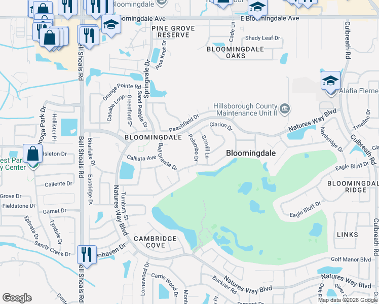 map of restaurants, bars, coffee shops, grocery stores, and more near 3813 Polumbo Drive in Valrico
