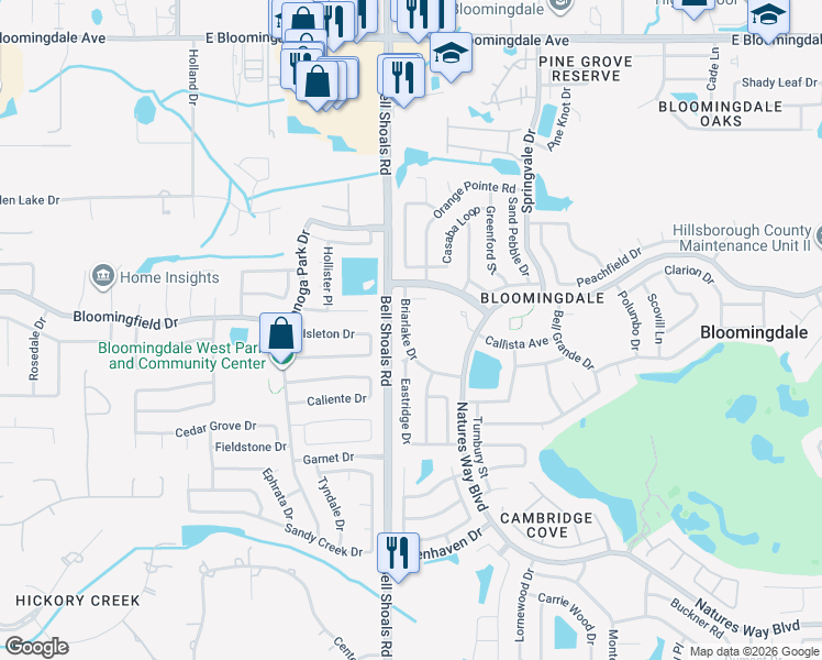 map of restaurants, bars, coffee shops, grocery stores, and more near 3914 Briarlake Drive in Valrico