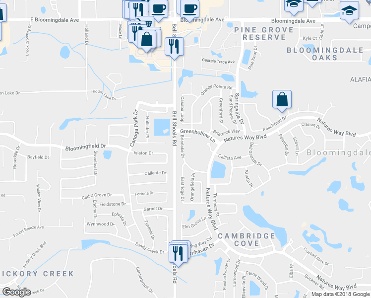 map of restaurants, bars, coffee shops, grocery stores, and more near 3912 Briarlake Drive in Valrico