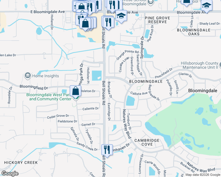 map of restaurants, bars, coffee shops, grocery stores, and more near 3912 Briarlake Drive in Valrico