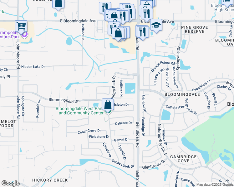 map of restaurants, bars, coffee shops, grocery stores, and more near 703 Wasco Court in Brandon