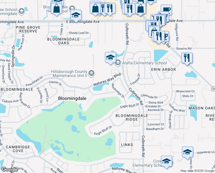 map of restaurants, bars, coffee shops, grocery stores, and more near 3904 Hidden Spring Place in Valrico