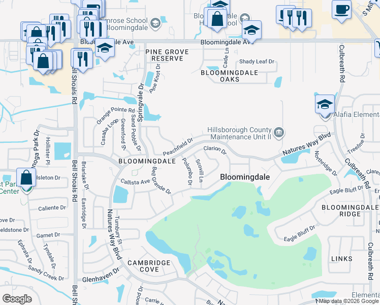 map of restaurants, bars, coffee shops, grocery stores, and more near 1406 Clarion Drive in Valrico