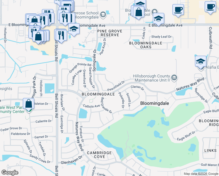 map of restaurants, bars, coffee shops, grocery stores, and more near 1330 Peachfield Drive in Valrico