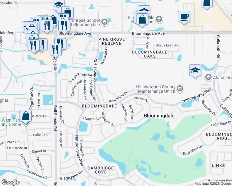 map of restaurants, bars, coffee shops, grocery stores, and more near 3724 Murray Dale Drive in Valrico