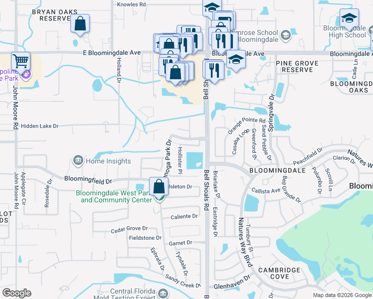 map of restaurants, bars, coffee shops, grocery stores, and more near 715 Redondo Drive in Brandon