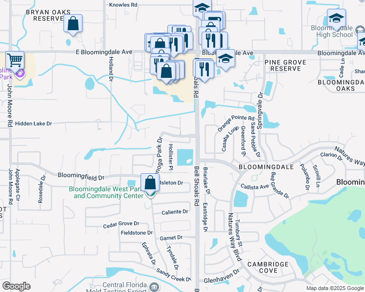 map of restaurants, bars, coffee shops, grocery stores, and more near 715 Redondo Drive in Brandon