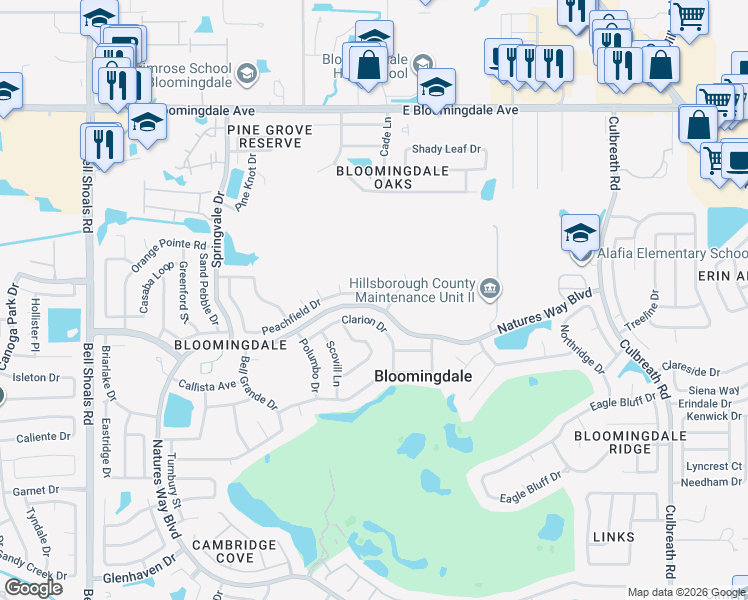 map of restaurants, bars, coffee shops, grocery stores, and more near 1433 Peachfield Drive in Valrico
