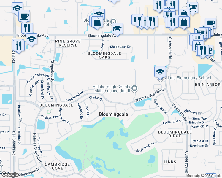 map of restaurants, bars, coffee shops, grocery stores, and more near 3704 Kingsford Place in Valrico