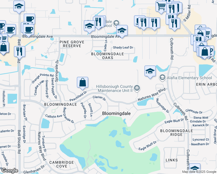 map of restaurants, bars, coffee shops, grocery stores, and more near 3704 Kingsford Place in Valrico