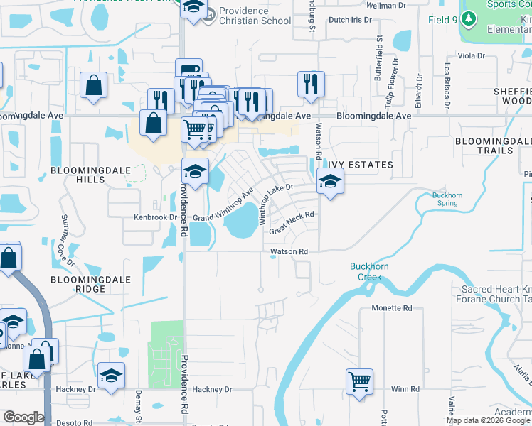 map of restaurants, bars, coffee shops, grocery stores, and more near 11143 Winthrop Lake Drive in Riverview