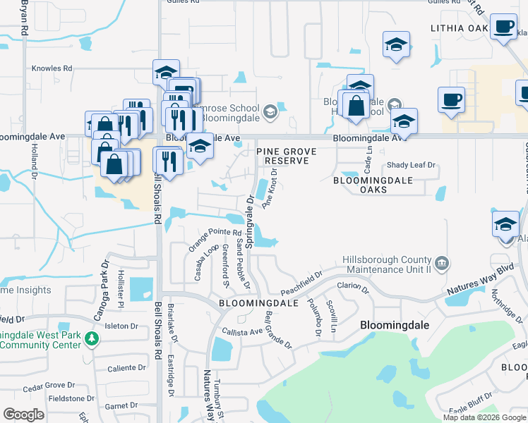 map of restaurants, bars, coffee shops, grocery stores, and more near 3638 Pine Knot Drive in Valrico