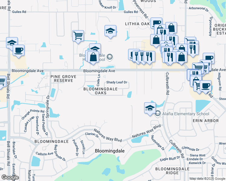 map of restaurants, bars, coffee shops, grocery stores, and more near 1621 Shady Leaf Drive in Valrico