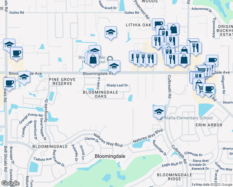 map of restaurants, bars, coffee shops, grocery stores, and more near 1621 Shady Leaf Drive in Valrico