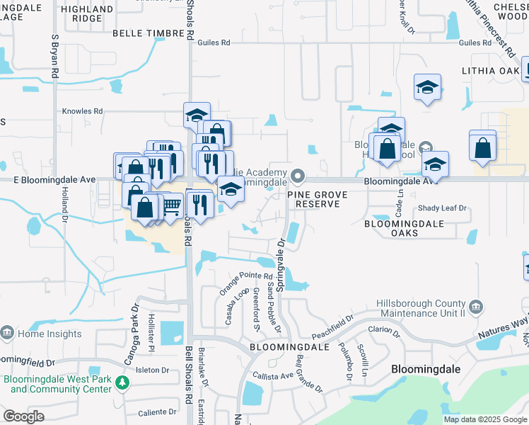 map of restaurants, bars, coffee shops, grocery stores, and more near 3419 Pine Trace Circle in Valrico