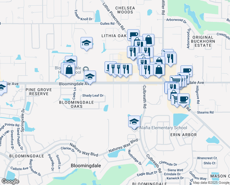 map of restaurants, bars, coffee shops, grocery stores, and more near 3407 Blowing Oak Street in Valrico