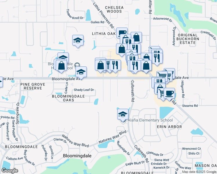 map of restaurants, bars, coffee shops, grocery stores, and more near 3407 Blowing Oak Street in Valrico