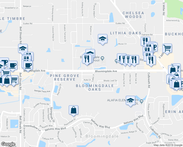 map of restaurants, bars, coffee shops, grocery stores, and more near 1514 Graywood Court in Valrico