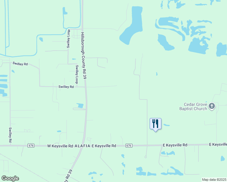 map of restaurants, bars, coffee shops, grocery stores, and more near 8018 County Road 39 in Plant City