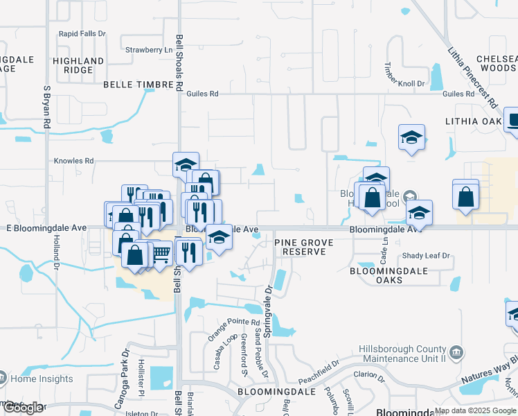 map of restaurants, bars, coffee shops, grocery stores, and more near 1202 Bloomingdale Avenue in Valrico