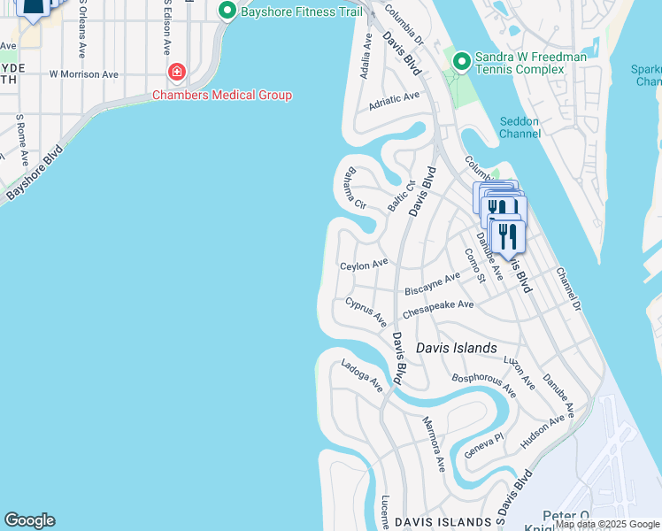 map of restaurants, bars, coffee shops, grocery stores, and more near 224 Blanca Avenue in Tampa