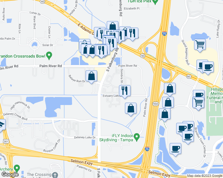 map of restaurants, bars, coffee shops, grocery stores, and more near 1241 Iris Lake Drive in Tampa