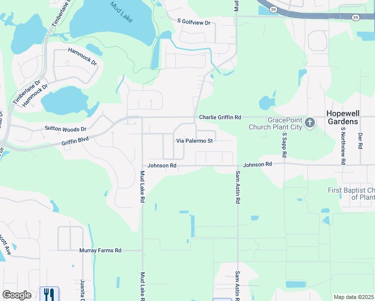 map of restaurants, bars, coffee shops, grocery stores, and more near 1905 Via Palermo Street in Plant City