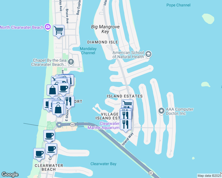 map of restaurants, bars, coffee shops, grocery stores, and more near 220 Skiff Point in Clearwater