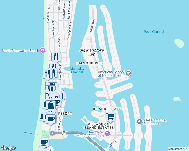 map of restaurants, bars, coffee shops, grocery stores, and more near 216 Palm Island Northwest in Clearwater