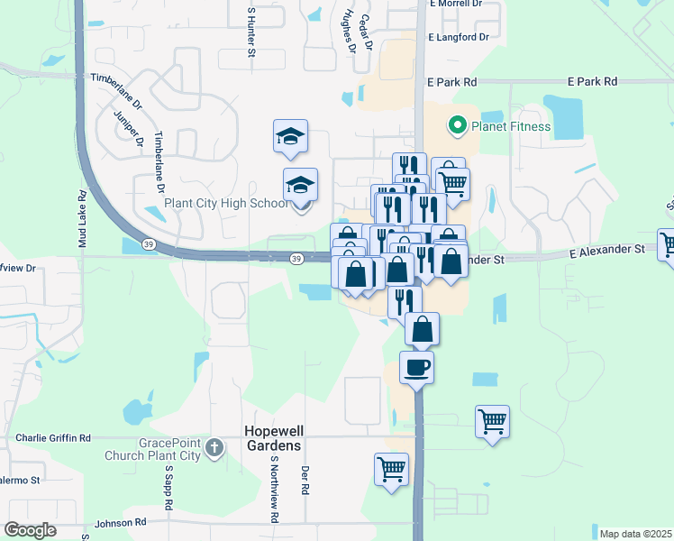 map of restaurants, bars, coffee shops, grocery stores, and more near 205 South Alexander Street in Plant City