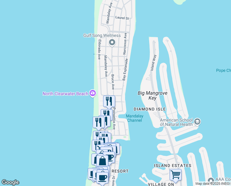 map of restaurants, bars, coffee shops, grocery stores, and more near 705 Bruce Ave in Clearwater