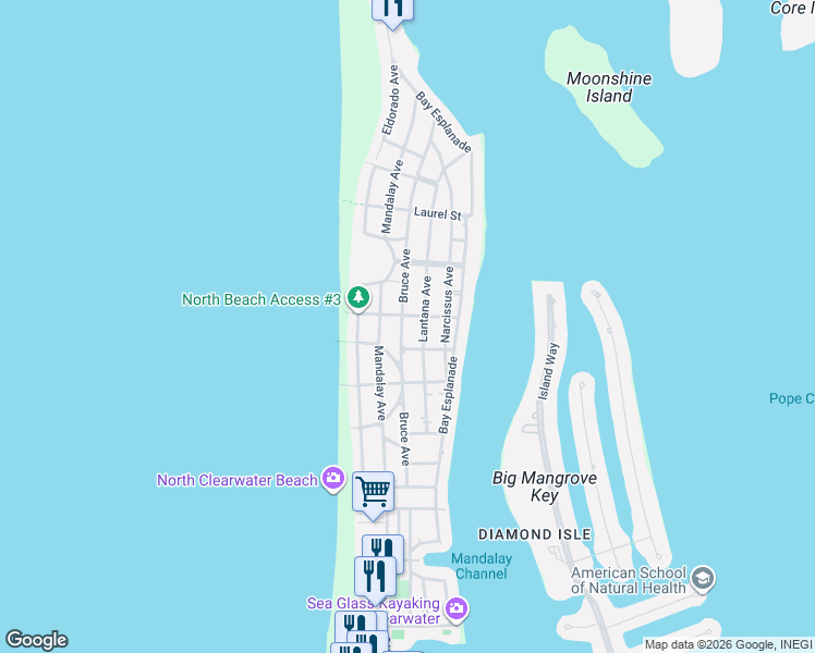 map of restaurants, bars, coffee shops, grocery stores, and more near 843 Bruce Avenue in Clearwater
