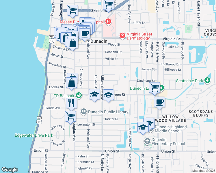 map of restaurants, bars, coffee shops, grocery stores, and more near 603 Lyndhurst Street in Dunedin