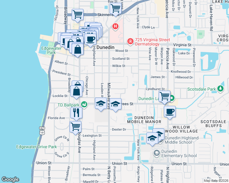 map of restaurants, bars, coffee shops, grocery stores, and more near 603 Lyndhurst Street in Dunedin