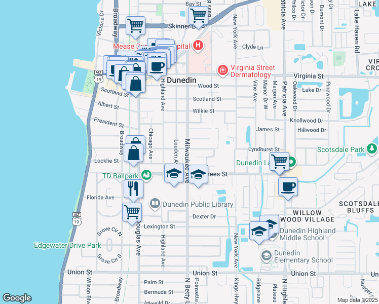 map of restaurants, bars, coffee shops, grocery stores, and more near 603 Lyndhurst Street in Dunedin