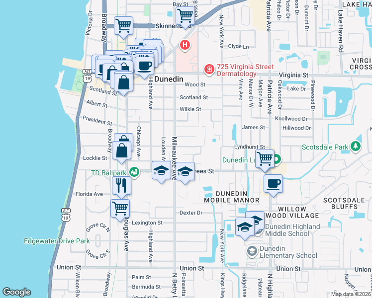 map of restaurants, bars, coffee shops, grocery stores, and more near 603 Lyndhurst Street in Dunedin