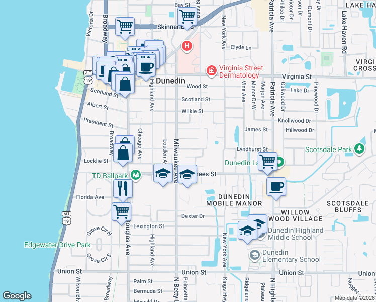 map of restaurants, bars, coffee shops, grocery stores, and more near 603 Lyndhurst Street in Dunedin