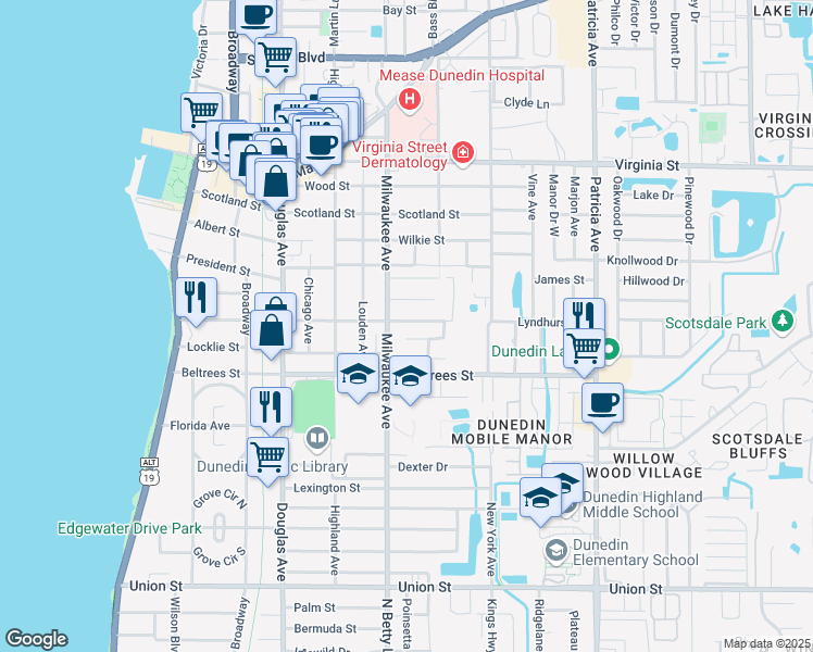 map of restaurants, bars, coffee shops, grocery stores, and more near 603 Lyndhurst Street in Dunedin