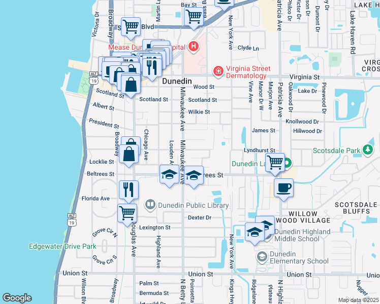 map of restaurants, bars, coffee shops, grocery stores, and more near 603 Lyndhurst Street in Dunedin
