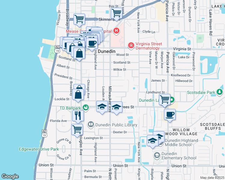 map of restaurants, bars, coffee shops, grocery stores, and more near 603 Lyndhurst Street in Dunedin