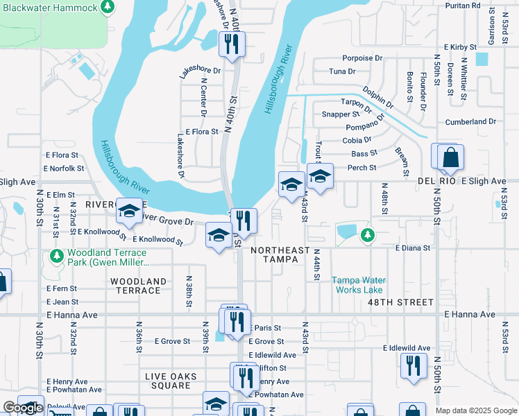 map of restaurants, bars, coffee shops, grocery stores, and more near 4118 Lankford Drive in Tampa