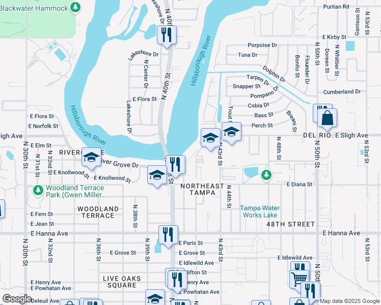 map of restaurants, bars, coffee shops, grocery stores, and more near 4118 Lankford Drive in Tampa
