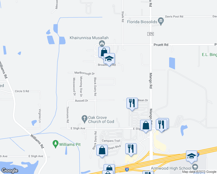 map of restaurants, bars, coffee shops, grocery stores, and more near 11315 Brightridge Drive in Seffner