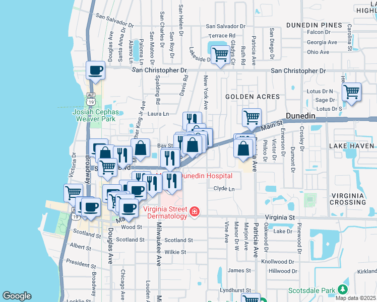 map of restaurants, bars, coffee shops, grocery stores, and more near 1036 Bass Boulevard in Dunedin