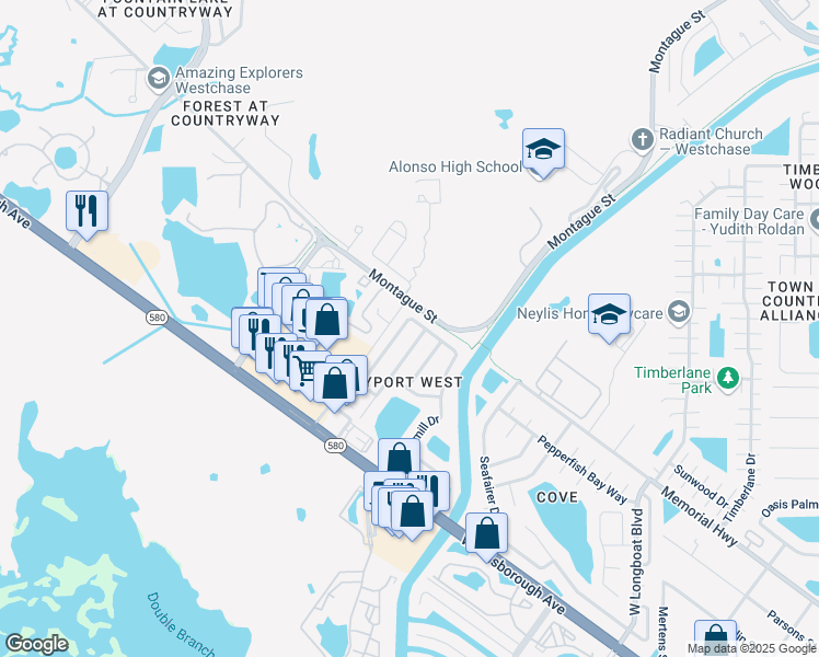 map of restaurants, bars, coffee shops, grocery stores, and more near 7104 Silvermill Drive in Tampa