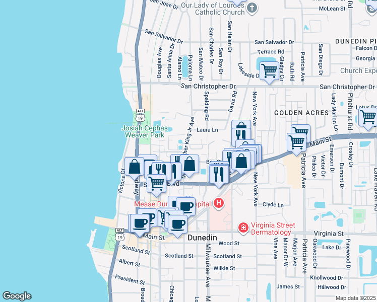 map of restaurants, bars, coffee shops, grocery stores, and more near 563 Shady Grove Drive in Dunedin
