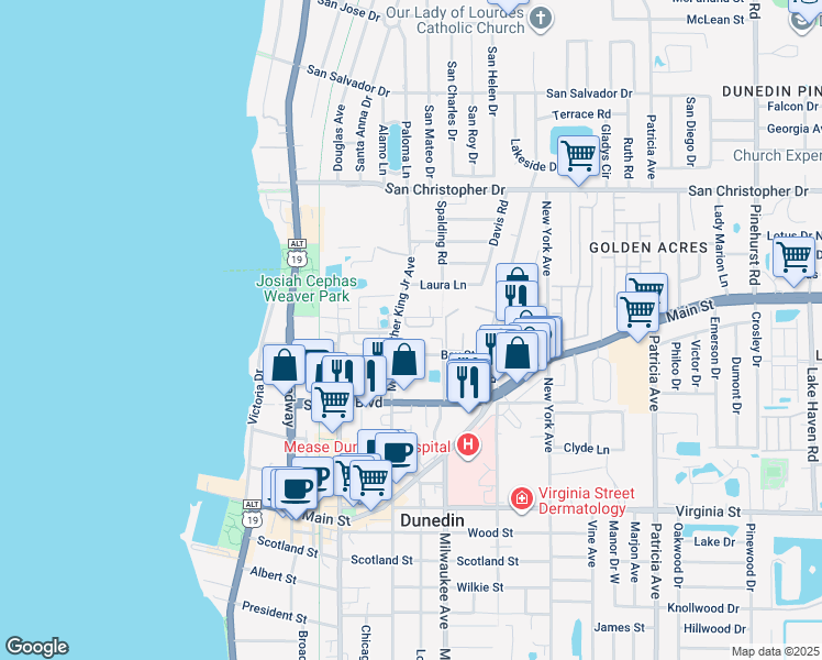 map of restaurants, bars, coffee shops, grocery stores, and more near 571 Shady Grove Drive in Dunedin