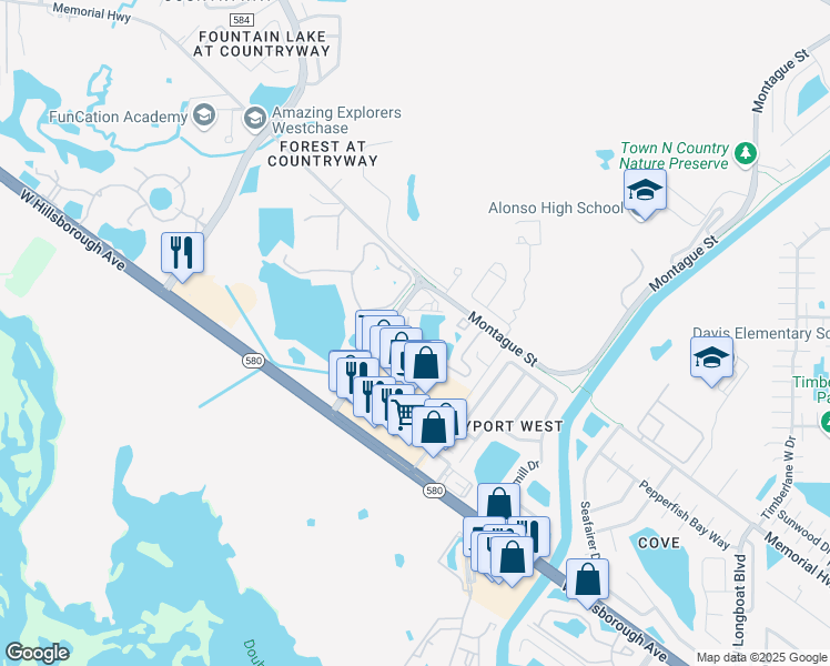 map of restaurants, bars, coffee shops, grocery stores, and more near 11609 Colony Lake Drive in Tampa
