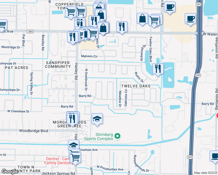 map of restaurants, bars, coffee shops, grocery stores, and more near 7313 Brookview Circle in Tampa